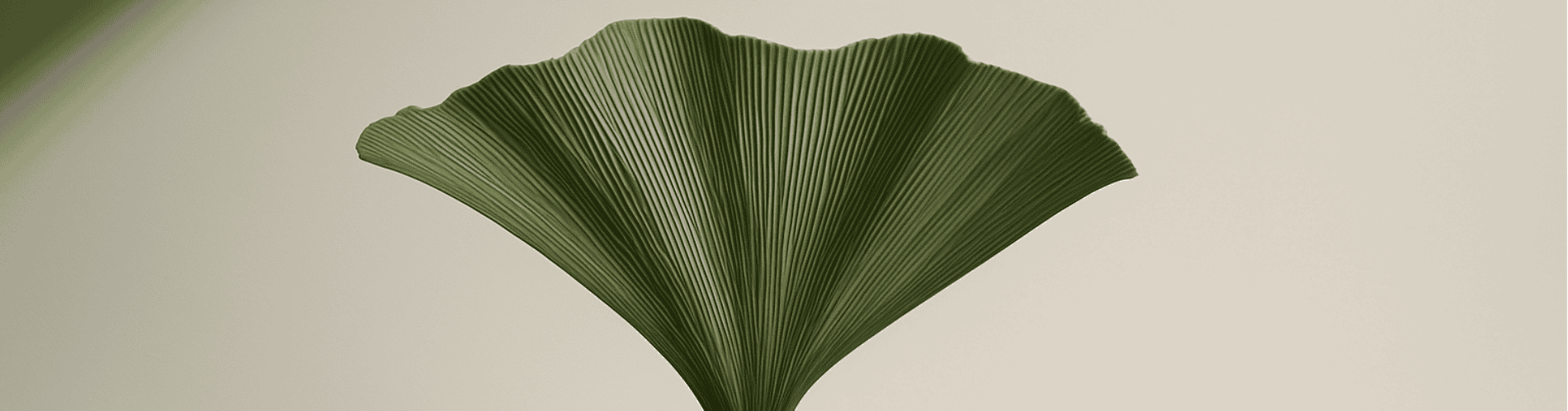 mamutaki USPs elegant handcrafted porcelain earrings